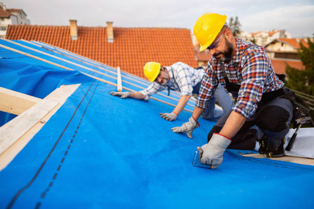 Best Roof Maintenance Services  in Vaville, CA