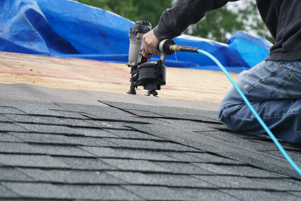 Best Roof Gutter Cleaning  in Vaville, CA